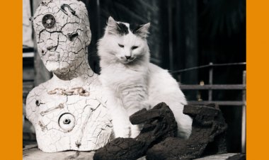 Sanatçılardan Çevre ve Sokak Hayvanları Derneği'ne Destek