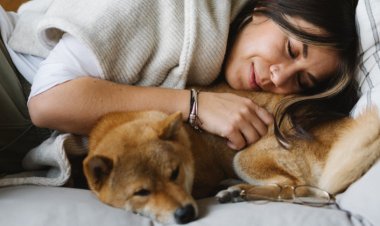 Evcil Hayvanla Birlikte Uyumak Sağlığa Zararlı Mı?
