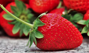 Çilek Tüketmeniz İçin 8 Sebep