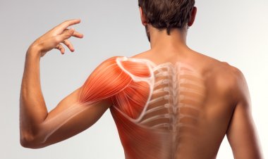 Kas ve Eklem Ağrılarına Karşı Stemwave Tedavisi