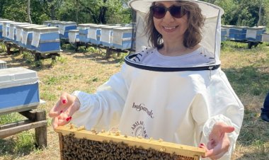 Balparmak'tan ”Arılar Varsa Gelecek Var” Projesi