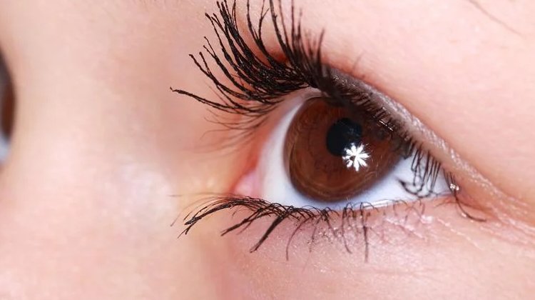 Bu 5 Besini Tüketerek Göz Sağlığınızı Koruyun