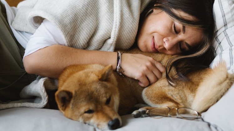 Evcil Hayvanla Birlikte Uyumak Sağlığa Zararlı Mı?