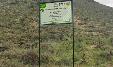 Nestle Türkiye'den 140 Bin Fidanlık Hatıra Ormanı