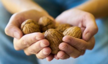 Yanlış Beslenme Alzheimer'ı Tetikliyor! İşte Beyin Dostu Besinler