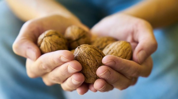 Yanlış Beslenme Alzheimer'ı Tetikliyor! İşte Beyin Dostu Besinler