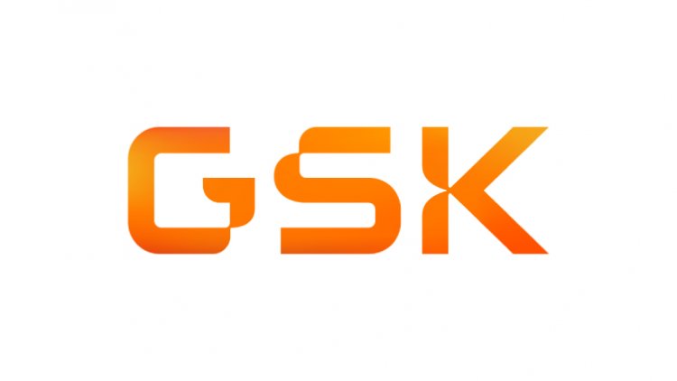 GSK Yeni Görsel Kimliğine Kavuştu