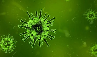 Marburg Virüsü Nedir? Marburg Virüsü Nasıl Bulaşır?