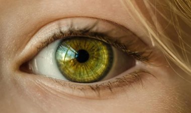 Çizgileri Eğik Görmek Sarı Nokta Hastalığı İşareti