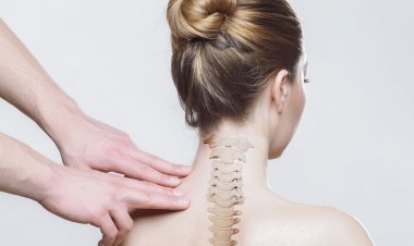 Omurga Sağlığı Hakkında Doğru Sanılan 20 Hatalı Bilgi!