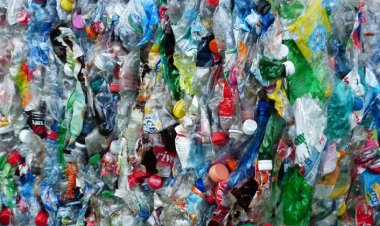 Duygusal İstismar ve Fiziksel İhmal İstifleme Bozukluğuna Yol Açıyor!