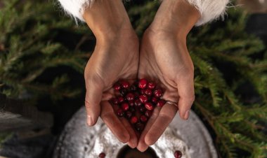 Cranberry- Turna Yemişi İdrar Yolu Enfeksiyonu İçin Doğal Çözüm