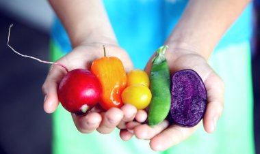 Kalp Sağlığı İçin Mutlaka Tüketilmesi Gereken Besinler