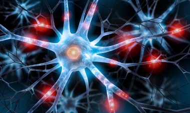 NGS Yöntemi ile 24 Saatte Kanser Tanısı