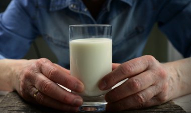 Osteoporozdan Korunmak İçin Her Gün 2 Bardak Süt Tüketin