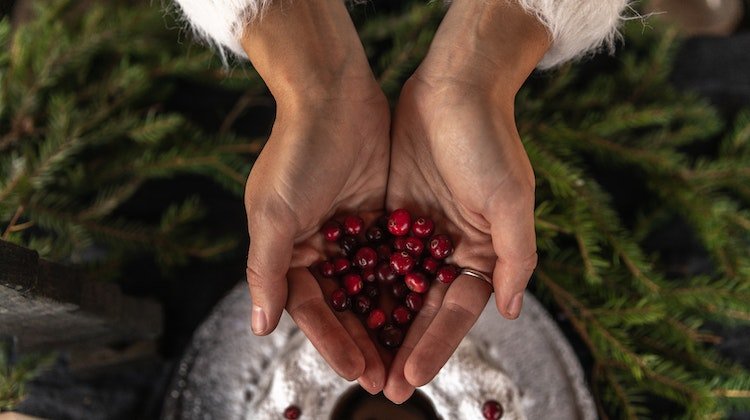 Cranberry- Turna Yemişi İdrar Yolu Enfeksiyonu İçin Doğal Çözüm