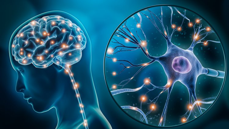 Dirençli Epilepsi Hastalığı Nedir? Dirençli Epilepsi Tedavisi Var mıdır?