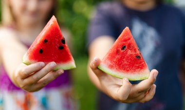Okul Çağı Çocukları İçin 10 Beslenme Tüyosu