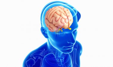 Hareket Bozukluğuna Beyin Pili ile Çözüm