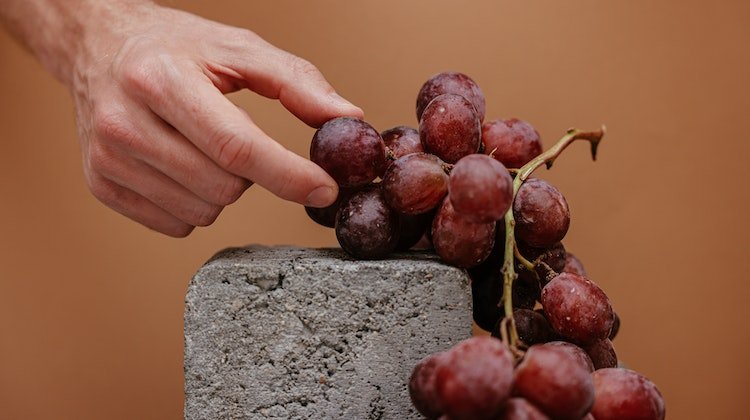 Üzüm Tüketmek Beyin Hastalıkları ve Kanser Riskini Azaltıyor