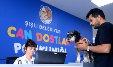 Şişli Belediyesi’nden Sokak Hayvanları İçin Rehabilitasyon Merkezi