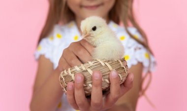 Hayvan Sevgisi Çocuklarda Empati Duygusunu Geliştiriyor