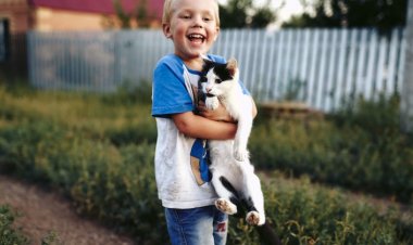 Evcil Hayvanlarla Kurulan Bağ Pozitif Duyguları Artırıyor