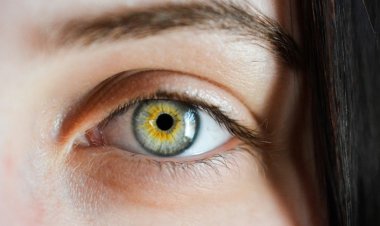 Bulanık Görme ve Güçsüzlük MS Hastalığının İlk Belirtileri Olabilir