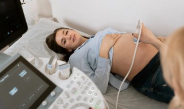 Gebelikte Ayrıntılı Ultrason Şart mı? Hangi Haftalarda Yapılmalı?