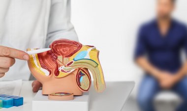 Prostat Kanserinden Korunmak Mümkün mü?