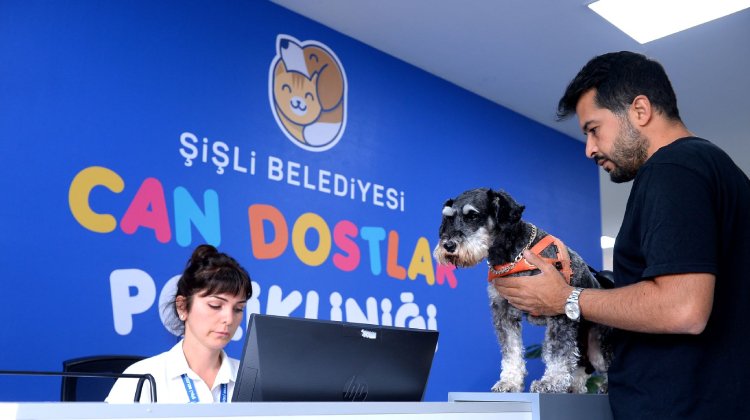 Şişli Belediyesi’nden Sokak Hayvanları İçin Rehabilitasyon Merkezi