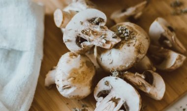 Mantarı İşlemden Geçirmek Zehirlenmeyi Önler mi?