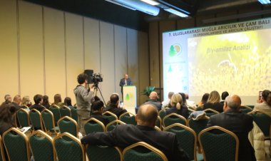 Balparmak, 'Türk Çam Balında C4 Şeker Oranı Tespiti'ni Anlattı