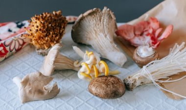 Mantar Yedikten Sonra Bu Belirtiler Yaşıyorsanız Zaman Kaybetmeyin!