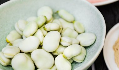 Gluten Free Ürünleri Tüketenlerde Acı Bakla Alerjisi