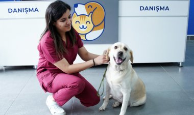 Rehber Köpek Adayı Yavrulara Özel Parti