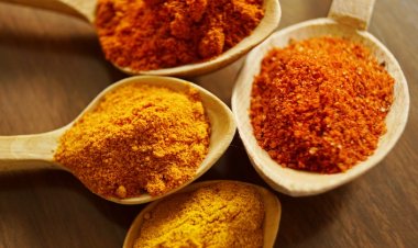 Beyin Dostu Gıdalar Depresyon ve Demans Riskini Azaltıyor