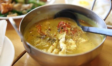 Kelle Paça Tüketmek Kolajen Üretimini Artırır mı?