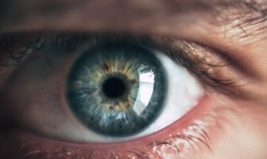 Pandemide Sarı Nokta Nedeniyle Görme Kayıpları Arttı