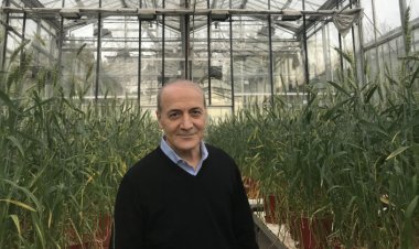 Prof. Dr. İsmail Çakmak Dünyanın En Etkili  Bilim İnsanları Listesinde