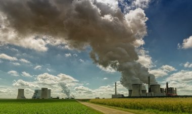 Hava Kirliliğinin Önlenebilmesi İçin 8 Tavsiye