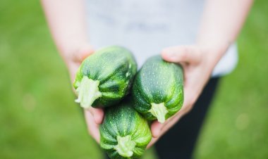 Kabağı Çiğ Tüketmek Zehirliyor!