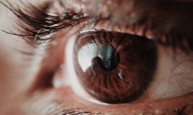 Uzun Süre Ekrana Bakmak Göz Hastalıklarını Artırıyor