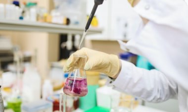 Novo Nordisk: Nadir Hastalıklar 5 Milyondan Fazla İnsanı Etkiliyor