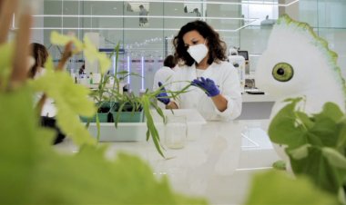 Bayer ve Kimitec'ten Önemli İş Birliği