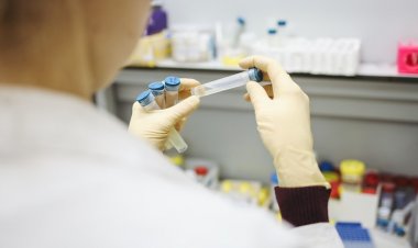 ABD'de İlaçlara Karşı Dirençli Süper Mantar Yayılıyor