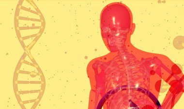 30 Gün Oruç Tutan Bir İnsanın Vücudunda Neler Oluyor?