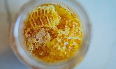 Düzenli Propolis Tüketimi Kan Şekerini Dengeliyor