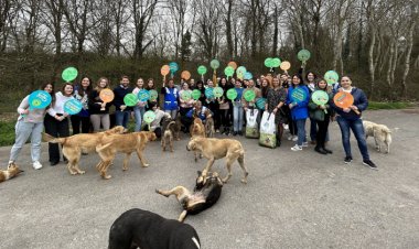 Watsons Türkiye'den Ormanlardaki Dostlarımıza 1 Ton Mama