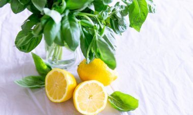 Başucuna Limon Koyarak Uyumanın İnanılmaz Faydaları